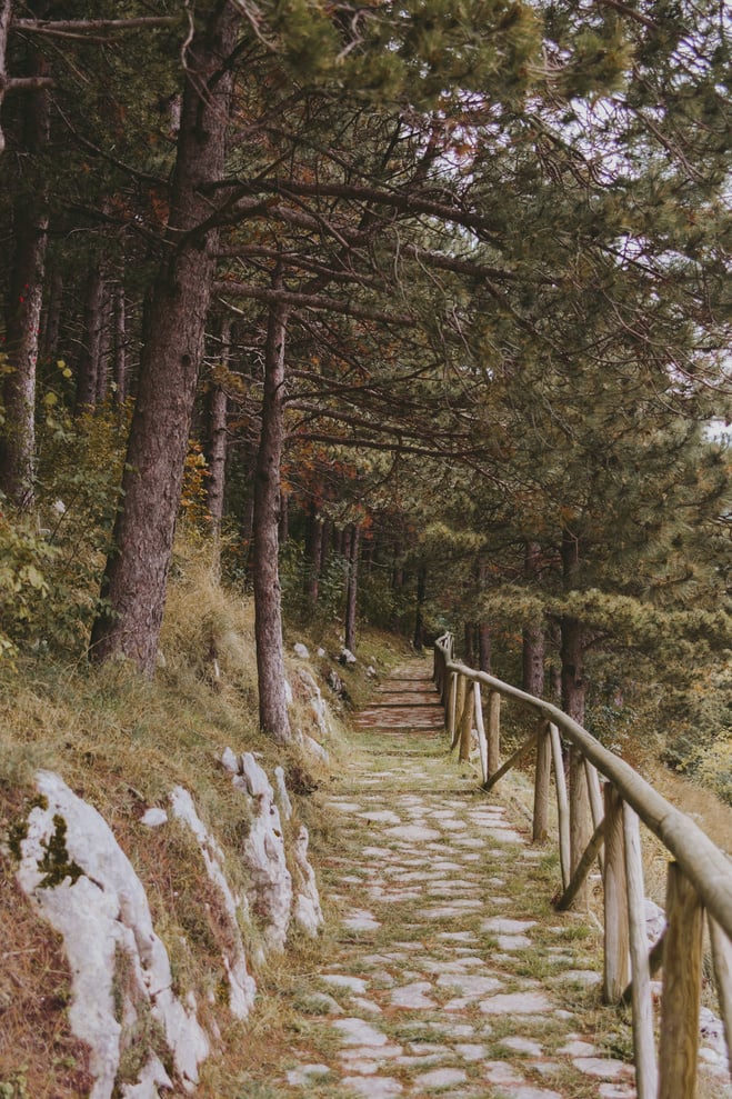 Pathway in Park